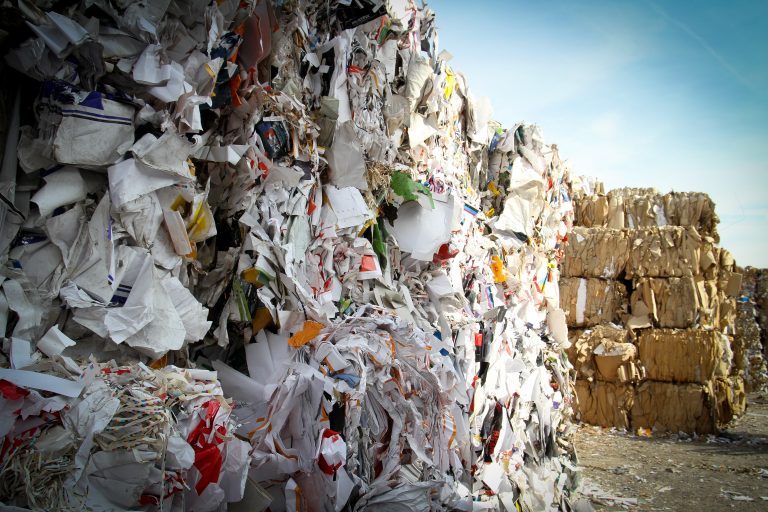 Shqipëria prodhon më shumë mbetje, çdo banor gjeneroi mesatarisht 360 kg në 2024